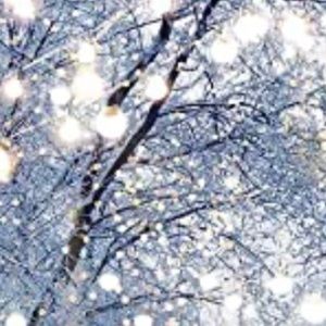 Meet your Posher, Mariss